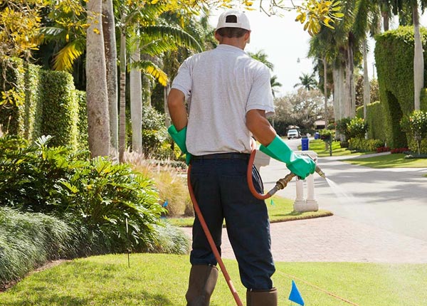 About Eureka Springs AR Pest Control Pros